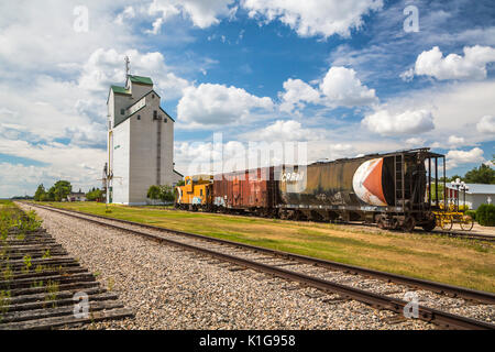 Die historische Körnerelevator und Waggons in Plum Coulee, Manitoba, Kanada. Stockfoto