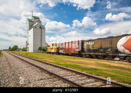Die historische Körnerelevator und Waggons in Plum Coulee, Manitoba, Kanada. Stockfoto