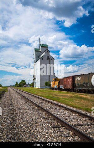 Die historische Körnerelevator und Waggons in Plum Coulee, Manitoba, Kanada. Stockfoto