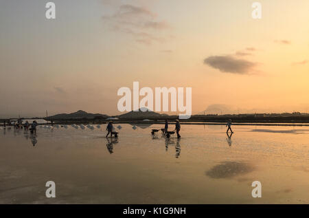 Frauen mit konischen hat Salz Ernte bei Sonnenaufgang in Ninh Hoa, Vietnam. Ninh Hoa gilt als eines der größten Salz Felder im ganzen Land. Stockfoto