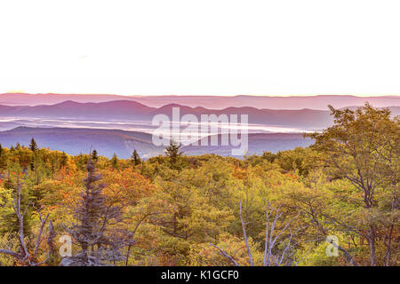 Tragen Felsen Sonnenaufgang im Herbst mit felsigen Landschaft in Dolly Grassoden, West Virginia mit Orangenbäumen Stockfoto