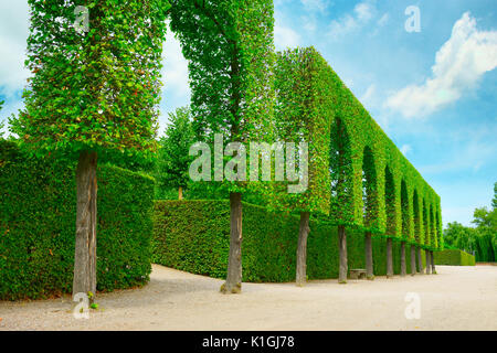 Dekorative hedges im Park und Blue Sky Stockfoto