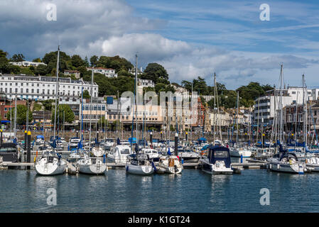 Der Hafen von Torquay Torquay, einer Stadt am Meer in Devon, England, Großbritannien Stockfoto