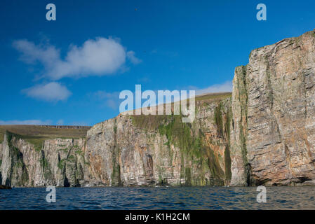 Norwegen, Barentssee, Spitzbergen. Bear Island Nature Reserve aka Bjornoya. Der südlichste Teil von Svalbard. Stockfoto