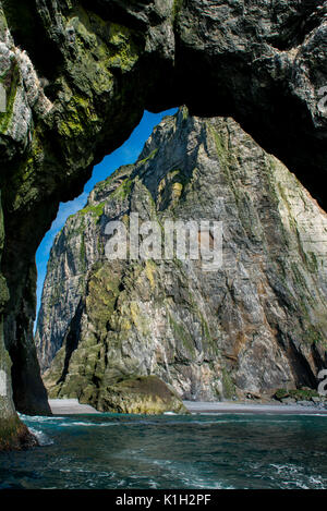 Norwegen, Barentssee, Spitzbergen. Bear Island Nature Reserve aka Bjornoya. Stockfoto