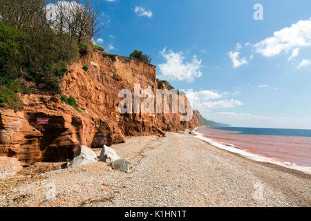 Sidmouth ist ein beliebter viktorianischen Badeort an der Jurassic Coast von aufragenden flankiert, aber instabil, roten Sandsteinfelsen, Devon, England, Großbritannien Stockfoto