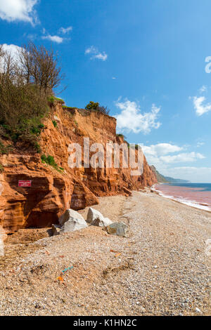 Sidmouth ist ein beliebter viktorianischen Badeort an der Jurassic Coast von aufragenden flankiert, aber instabil, roten Sandsteinfelsen, Devon, England, Großbritannien Stockfoto