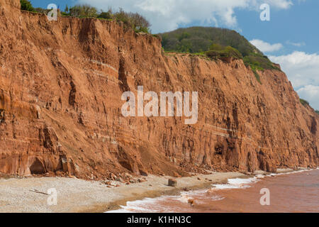 Sidmouth ist ein beliebter viktorianischen Badeort an der Jurassic Coast von aufragenden flankiert, aber instabil, roten Sandsteinfelsen, Devon, England, Großbritannien Stockfoto