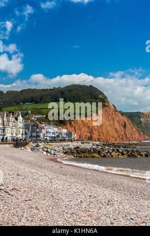 Sidmouth ist ein beliebter viktorianischen Badeort an der Jurassic Coast von aufragenden flankiert, aber instabil, roten Sandsteinfelsen, Devon, England, Großbritannien Stockfoto