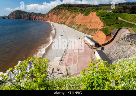 Blick nach Westen vom Connaught Gardens in Sidmouth auf den hoch aufragenden Sandsteinfelsen auf der Jurassic Coast, Devon, England, Großbritannien Stockfoto