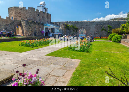 Bunte Feder Bettwaren in den Blumenbeeten am Connaught Gardens in Sidmouth an der Jurassic Coast, Devon, England, Großbritannien Stockfoto