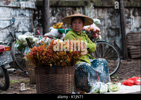 Eine lokale Verkäufer produzieren, Morgen Markt, Hsipaw, Shan Staat, Myanmar. Stockfoto