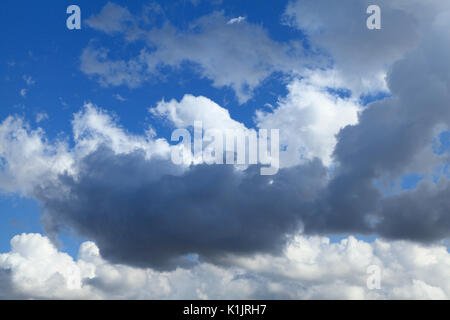 Weiße und dunkle cumulous Wolke, Wolken, Himmel, Wolken, blauer Himmel, Wetter, Klima, England, Großbritannien Stockfoto