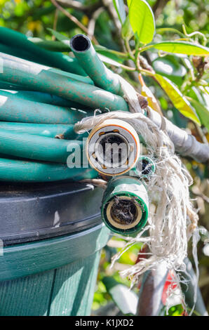 Einen alten Schlauch mit Tippen Sie auf Anschlüsse und eine Sprühdüse eingerollt und links oben auf ein Fach in einem Garten auf der Rückseite. Stockfoto