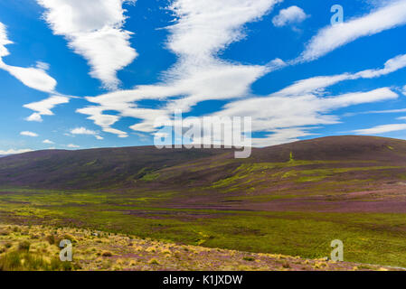 Malerische Aussicht auf die schöne Natur des Cairgorms National Park in Schottland im Sommer Stockfoto