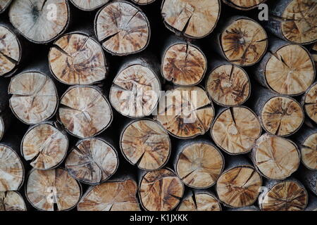 Natürliche Holz- Hintergrund. closeup der gehackten sichtbar gestapelt Brennholz Brennholz. Stockfoto