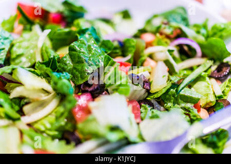 Makro Nahaufnahme von Haus Salat in weißer Teller mit grünen Römersalat, Oliven und Tomaten Stockfoto