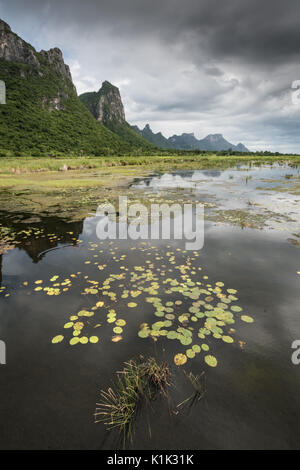 Khao Sam Roi Yot Nationalpark, Thailand. Khao Sam Roi Yot bedeutet "Berg mit drei hundert Gipfel" und bezieht sich auf eine Reihe von Hügeln aus Kalkstein alo Stockfoto