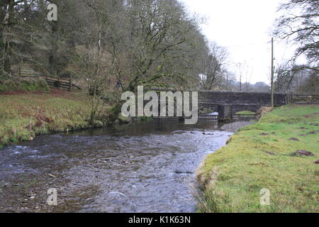 Fluss Barle fließt durch das Dorf Simonsbath auf der B 3223 in Exmoor National Park, Exmoor, England, Grossbritannien auf einem nassen Februar 2017 Tag Stockfoto