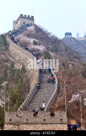 Ausgehend von einer Basis in Juyongguan (Pass), Leute steigen ein fast vertikalen Abschnitt von Chinas große Mauer auf die erste von mehreren Wachtürme. Stockfoto