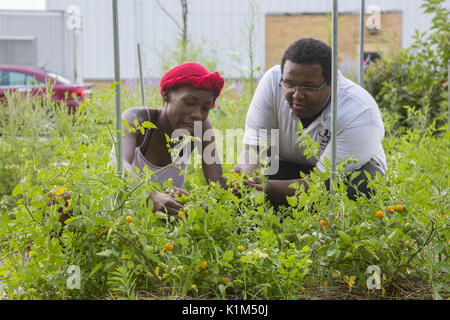 Studenten der Detroit Community School in eine motivationale Sommer teilnehmen, Arbeitsprogramm, in dem sie leben, Arbeit und unternehmerische Fähigkeiten in einem unternehmerischen Inkubator Typ Umgebung zu lernen. Studenten in den Gartenbau Programm. Stockfoto