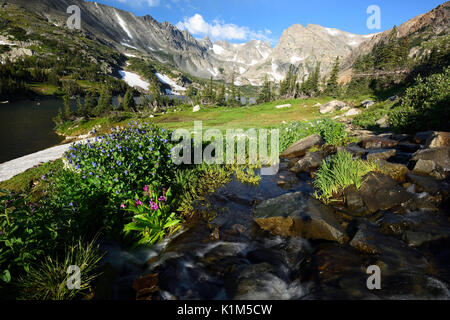 See Isabelle, Indian Peaks Wilderness, Roosevelt National Forest, Colorado, USA Stockfoto
