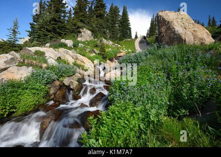 See Isabelle, Indian Peaks Wilderness, Roosevelt National Forest, Colorado, USA Stockfoto