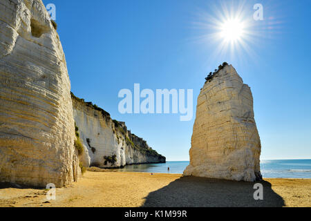 Pizzomunno, Kalkfelsen am Strand, Sehenswürdigkeiten von Vieste, Gargano, Provinz Foggia, Apulien, Italien Stockfoto