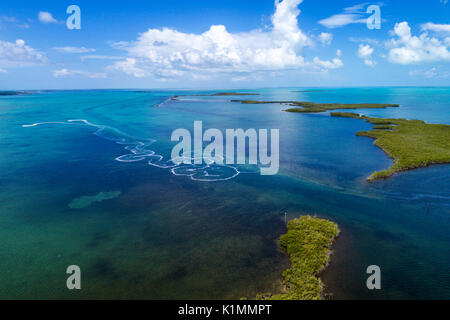 Florida, Florida Keys, Upper, Key Largo, Buttonwood Sound, Florida Bay, Baker Cut, Everglades National Park, Luftaufnahme von oben, FL17081827D Stockfoto