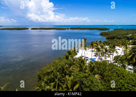 Florida, Florida Keys, Upper, Islamorada, Florida Bay, kleines Becken, Luftaufnahme von oben, FL17081843D Stockfoto
