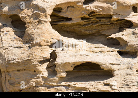 Nahaufnahme von erodiert, verwitterte Sandstein mit Löchern und Defekte. Bei Tageslicht fotografiert. Stockfoto