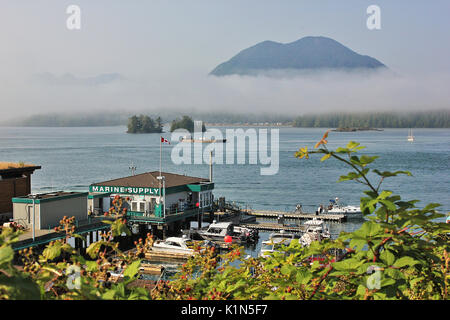 Nebel über meare's Island von der Innenstadt von Tofino, Vancouver Island in Kanada Stockfoto