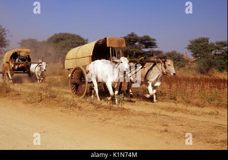 Ochsenkarren auf staubigen Track, Pagan (Bagan), Burma (Myanmar) Stockfoto