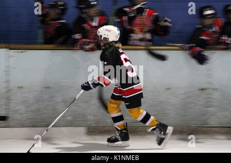 Junge Eishockeyspieler skating Vergangenheit Teamkollegen hinter den Brettern. Stockfoto