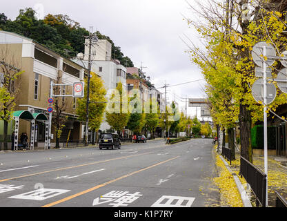 Kyoto, Japan - 28.November 2016. Fahrzeuge, die auf der Straße in der Innenstadt von Kyoto, Japan. Kyoto ist auch bekannt als die tausend Jahre Kapital. Stockfoto