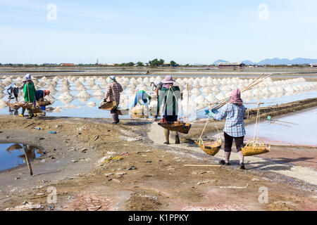 Mitarbeiter sammeln Meersalz aus den Salinen, Provinz Petchaburi, Thailand Stockfoto