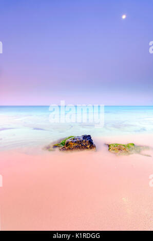 Detail Dawn, der Strand Dünen, Provinz Tarent Apulien Stockfoto