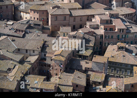 Der Blick über den Dächern von Siena aus Torre del Mangia, Toskana, Italien Stockfoto