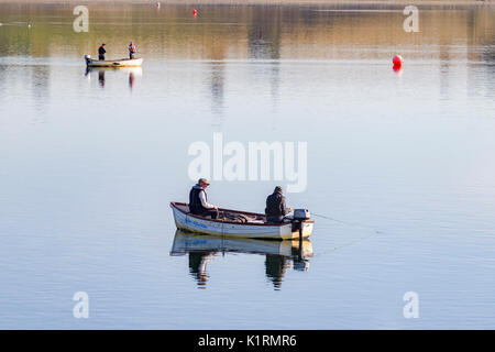 Brixworth, Northamptonshire, 27. August 2017. UK Wetter: Forellen auf pitsford Wasser genießen die warmen, sonnigen Sonntag Feiertag morgen auf dem ruhigen Wasser des Behälters. Credit: Keith J Smith./Alamy leben Nachrichten Stockfoto