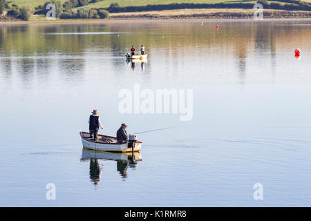 Brixworth, Northamptonshire, 27. August 2017. UK Wetter: Forellen auf pitsford Wasser genießen die warmen, sonnigen Sonntag Feiertag morgen auf dem ruhigen Wasser des Behälters. Credit: Keith J Smith./Alamy leben Nachrichten Stockfoto