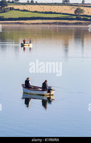 Brixworth, Northamptonshire, 27. August 2017. UK Wetter: Forellen auf pitsford Wasser genießen die warmen, sonnigen Sonntag Feiertag morgen auf dem ruhigen Wasser des Behälters. Credit: Keith J Smith./Alamy leben Nachrichten Stockfoto