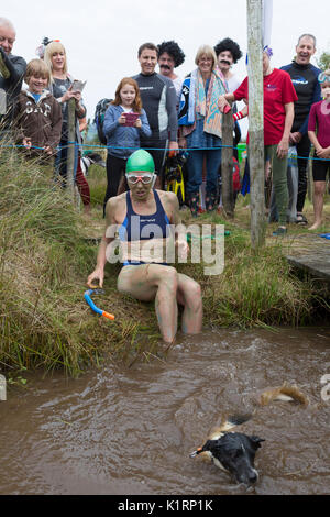 Angela Jones konkurriert im Jahr 2017 welt Bogsnorkeling Meisterschaften an den Waen Rhydd in der Nähe von Llanwrtyd Wells Moor. Stockfoto