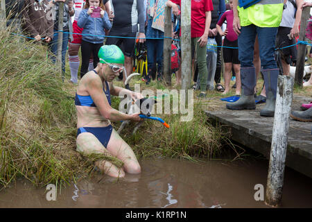 Angela Jones konkurriert im Jahr 2017 welt Bogsnorkeling Meisterschaften an den Waen Rhydd in der Nähe von Llanwrtyd Wells Moor. Stockfoto