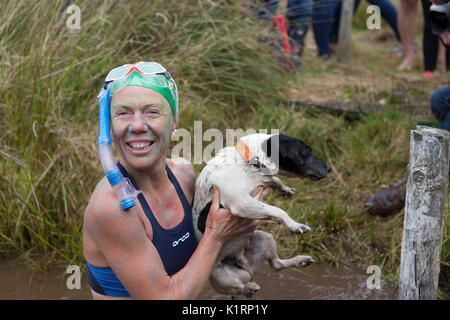 Angela Jones konkurriert im Jahr 2017 welt Bogsnorkeling Meisterschaften an den Waen Rhydd in der Nähe von Llanwrtyd Wells Moor. Stockfoto