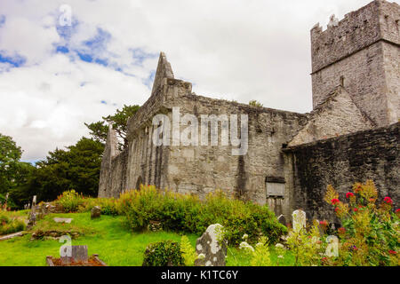 Muckross Abbey gebaut im Jahre 1448 als Kloster der Franziskaner Mönche Stockfoto