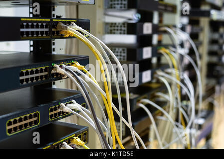 RJ45 Kabel gesteckt Switches im Rack Stockfoto