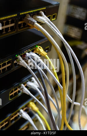 RJ45 Kabel gesteckt Switches im Rack Stockfoto