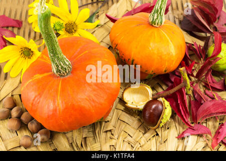 Kürbis mit Haselnüsse und Walnüsse, Kastanien, Herbst Produkte Stockfoto