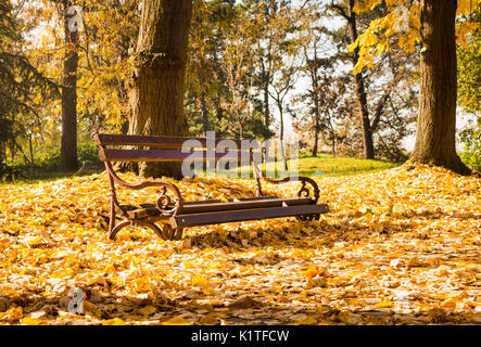 Leeren Bank im Park im Laub bedeckt. Herbst Szene Stockfoto