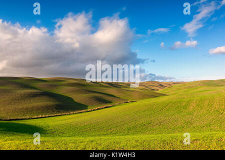 Val d'Orcia, in der Provinz von Siena, Italien, Toskana. Stockfoto